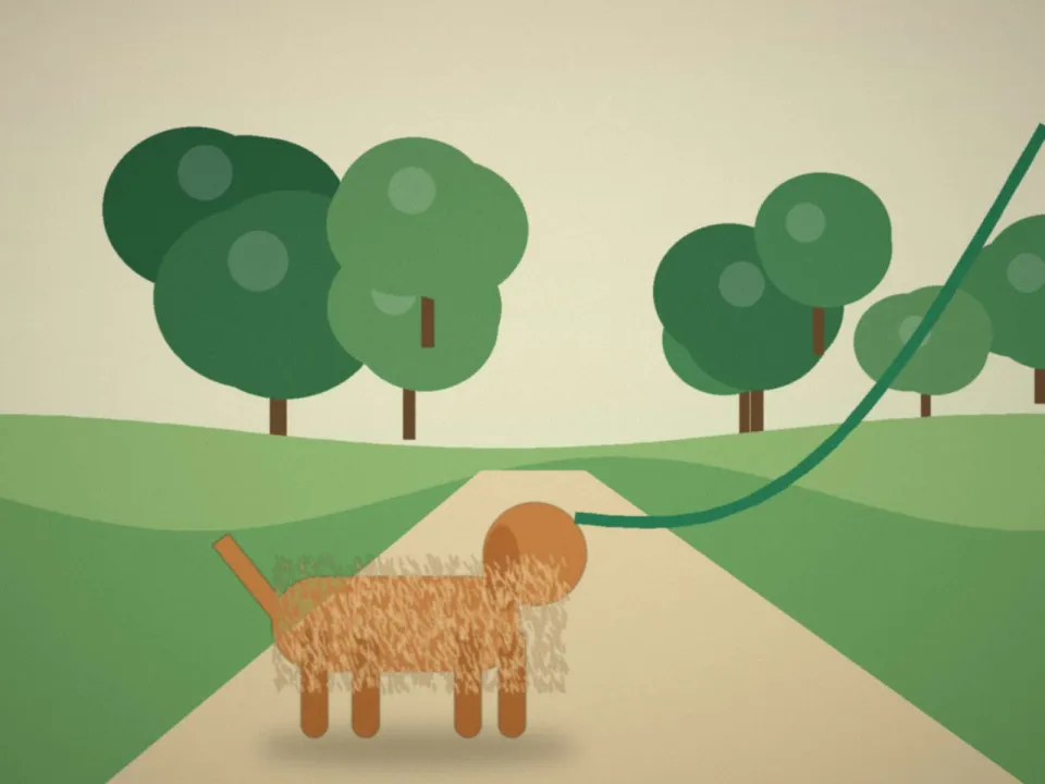 Chien caramel en laisse sur un chemin de campagne pendant la promenade