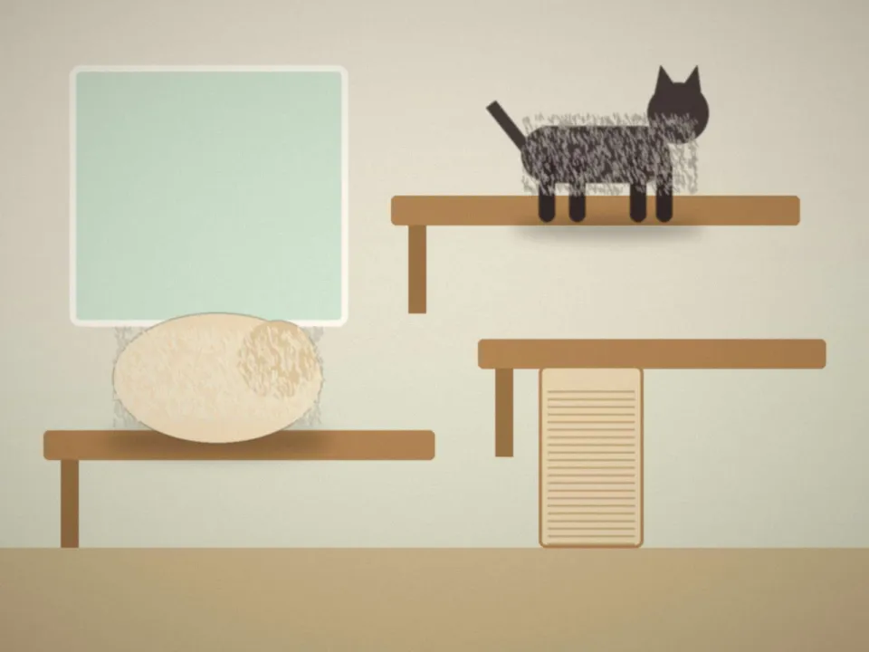 Chat noir sur l'étagère de la chatterie