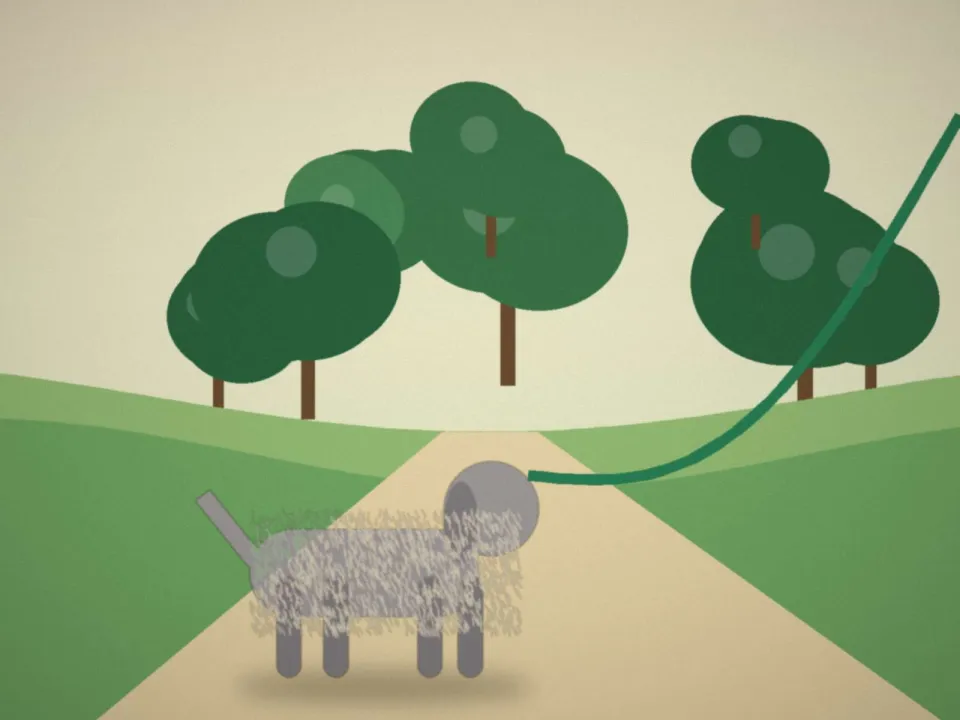 Dernier jour : le même chien gris en promenade sur le chemin