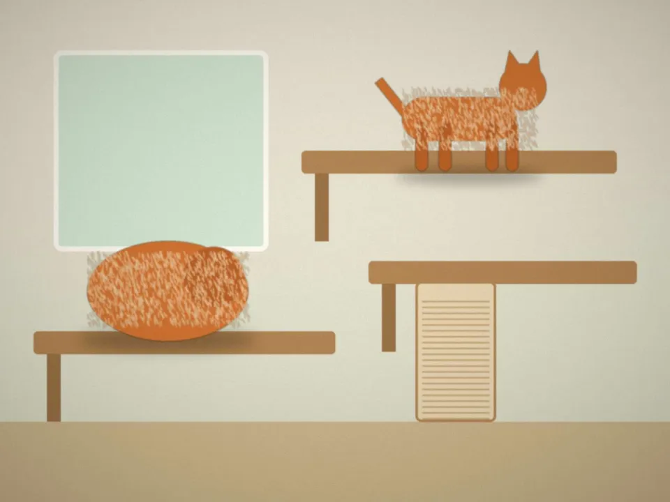 Dernier jour : le même chat roux installé au soleil près de la fenêtre