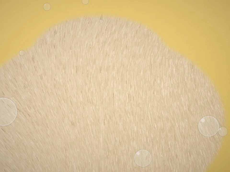 Pelage crème de chat brossé
