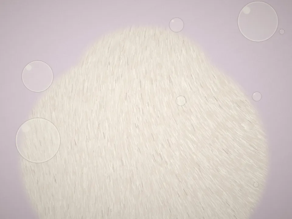 Après : Plume, bichon : de la boule de nœuds à la coupe d'été