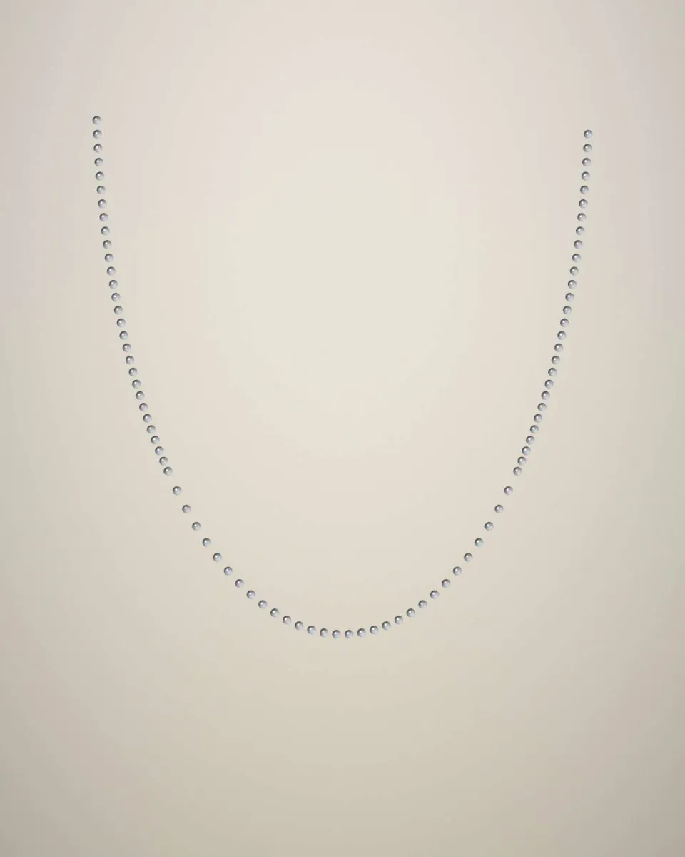 Collier chaîne maille forçat en argent