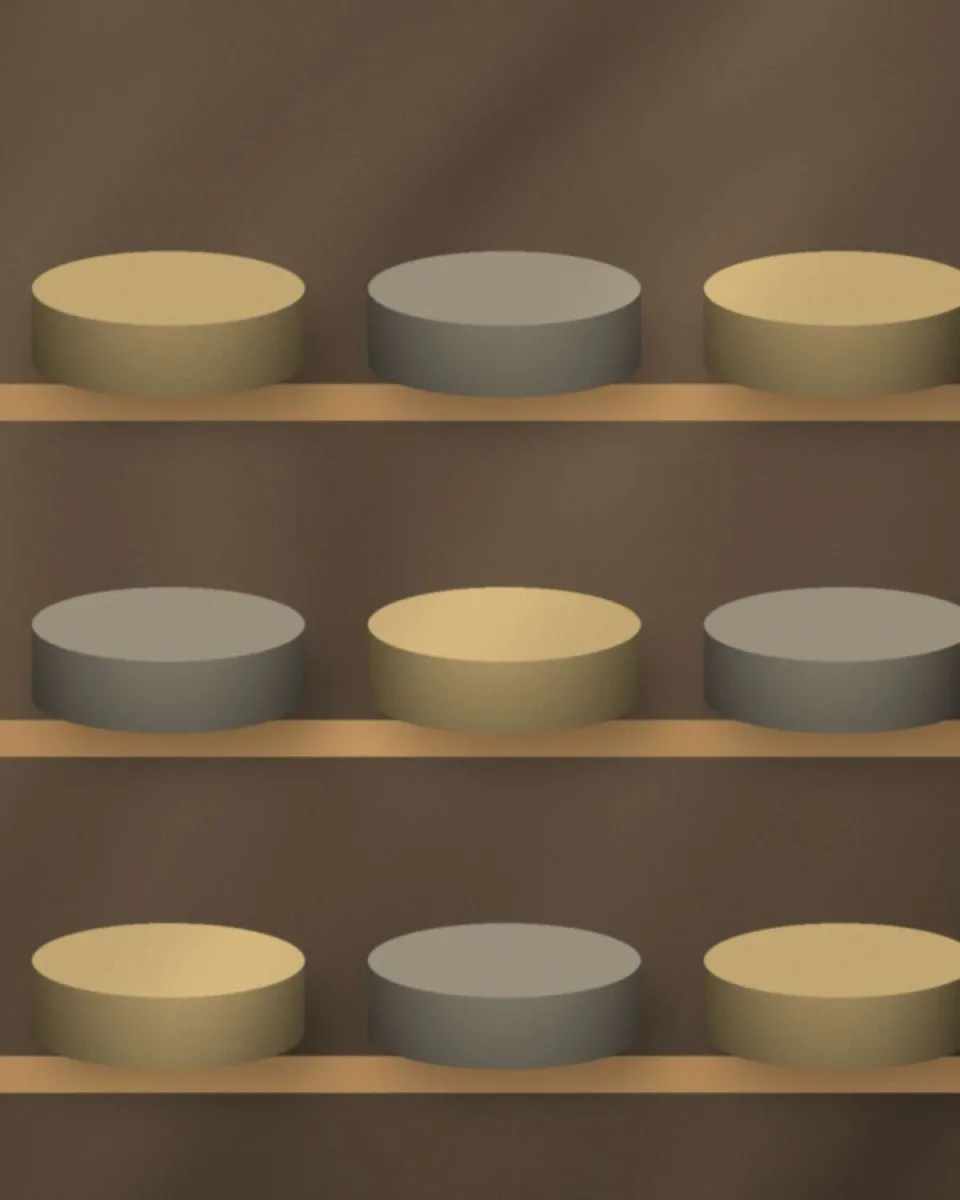 Tommes en cours d’affinage à la Fromagerie du Col (illustration)