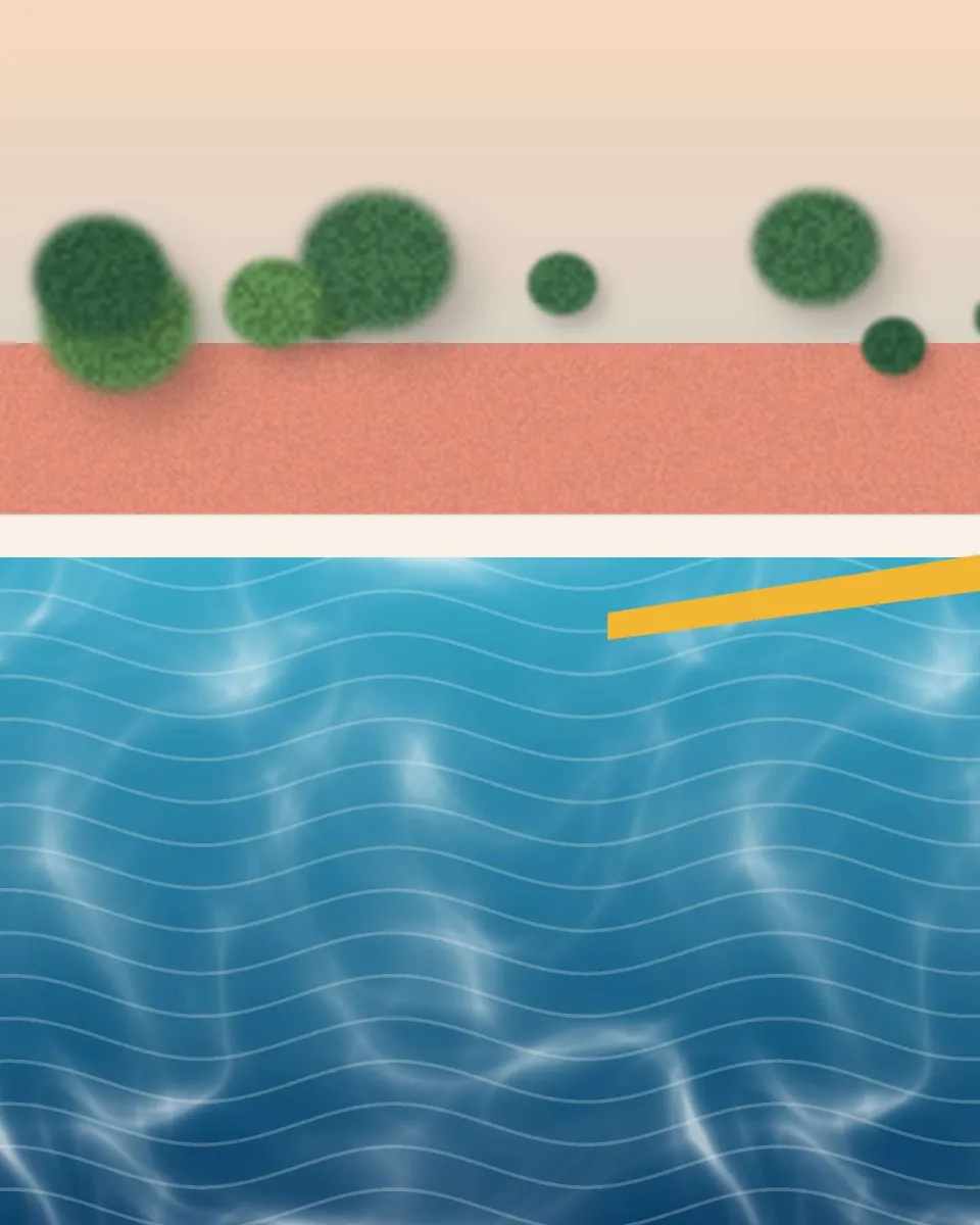 Piscine contre un mur rose, plongeoir jaune et palmiers