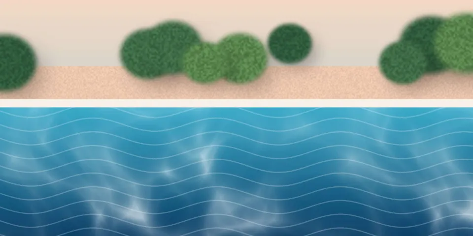 Piscine entretenue, eau limpide au soleil