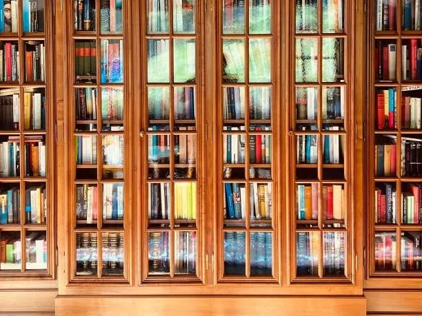Bibliothèque murale en noyer remplie de livres