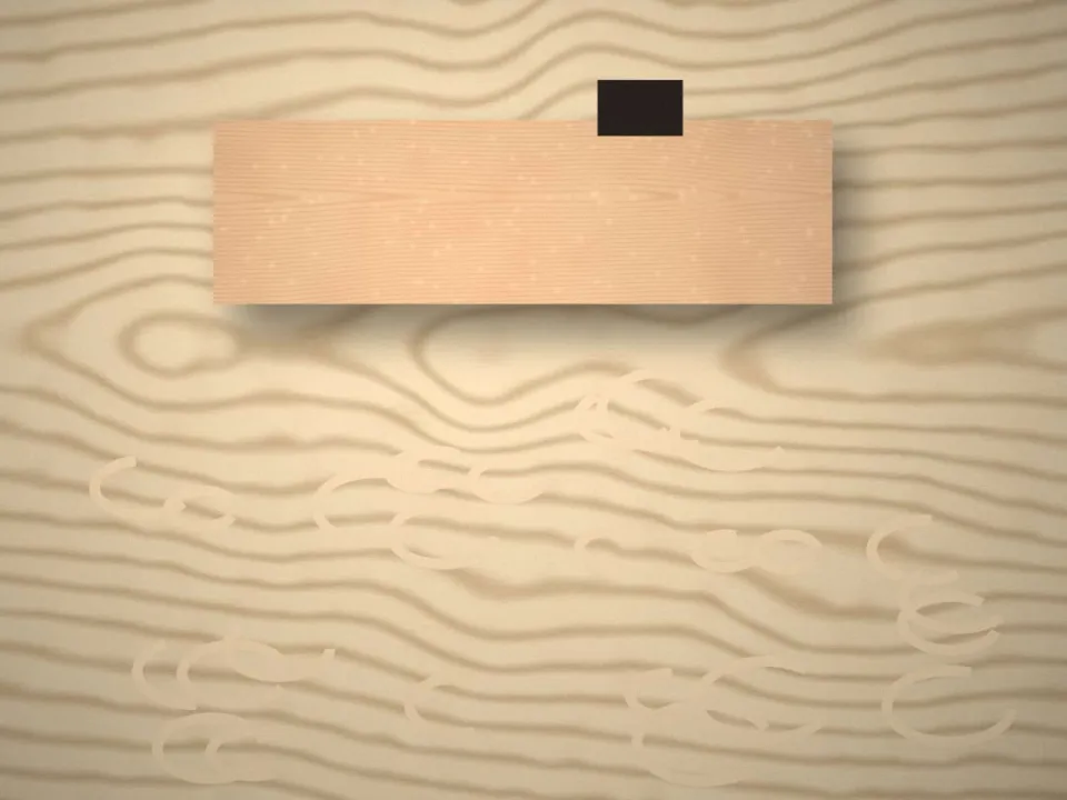 Copeaux de rabot sur une planche de frêne
