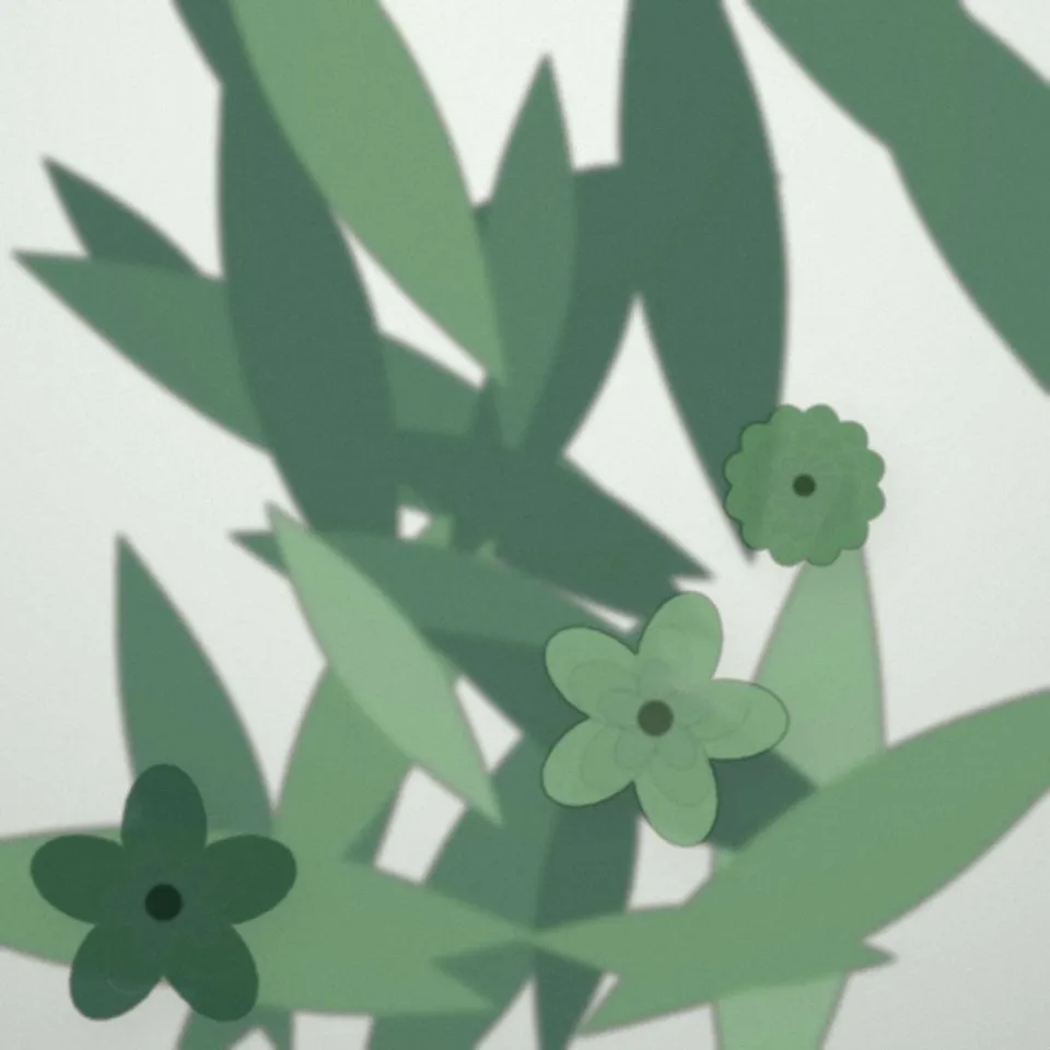 Plante verte en pot au grand feuillage