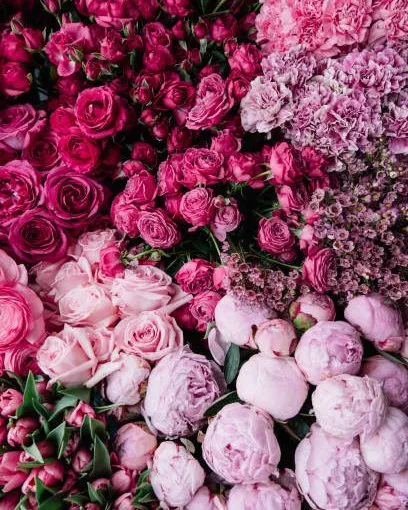 Aperçu du modèle de site Bouquet — Fleuriste pour fleuriste