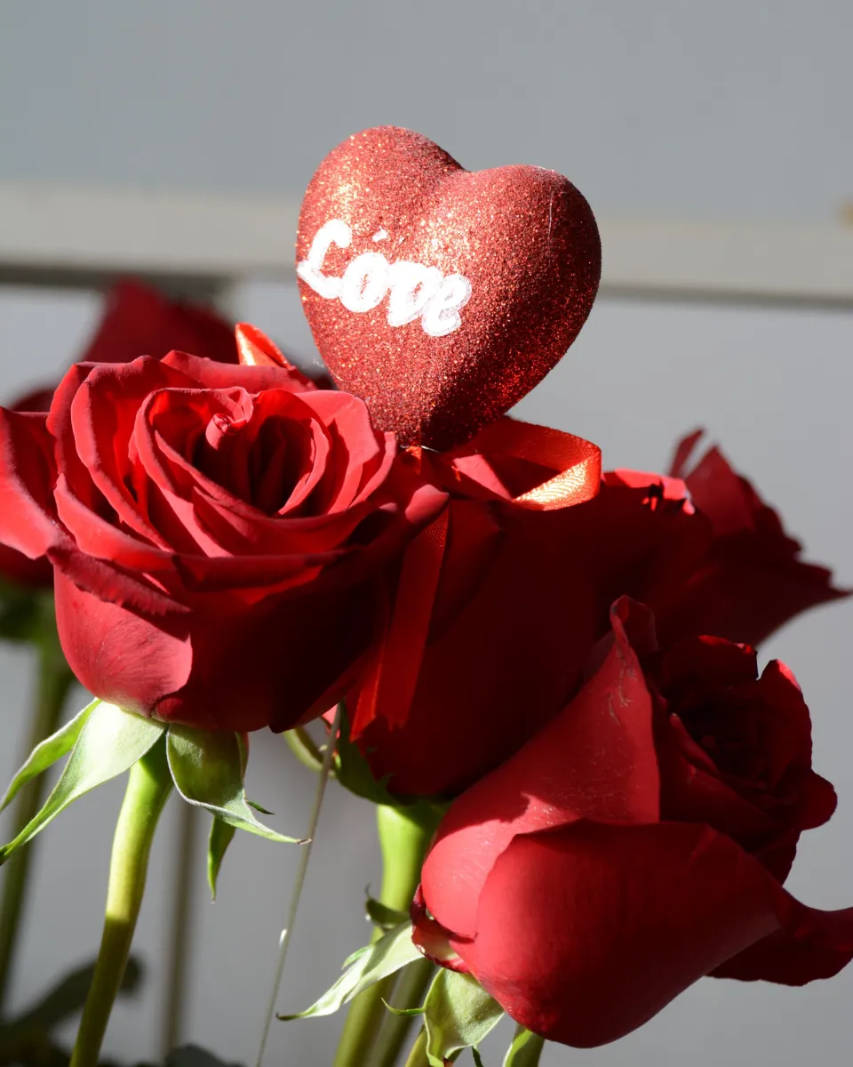 Bouquet rouge intense pour la Saint-Valentin