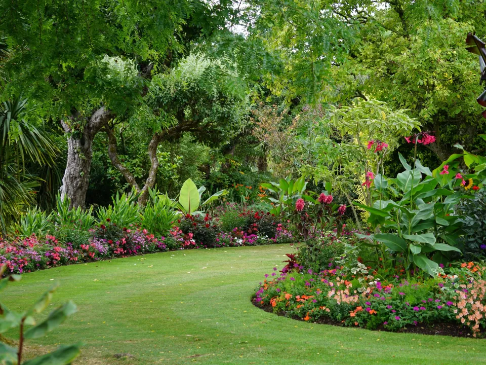 Jardin créé avec une allée sinueuse et des massifs