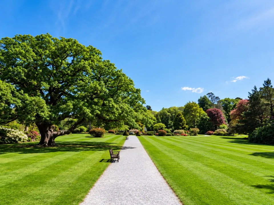 Après : Un jardin en friche retrouve son allée