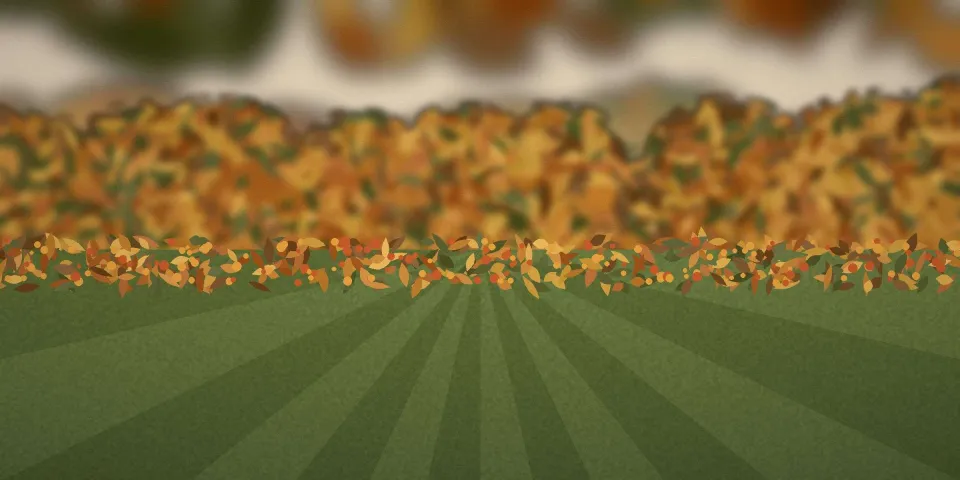 Jardin en automne, pelouse et arbres dorés