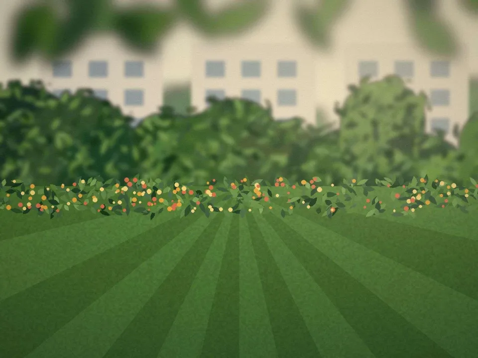 Espaces verts d'une résidence entretenus