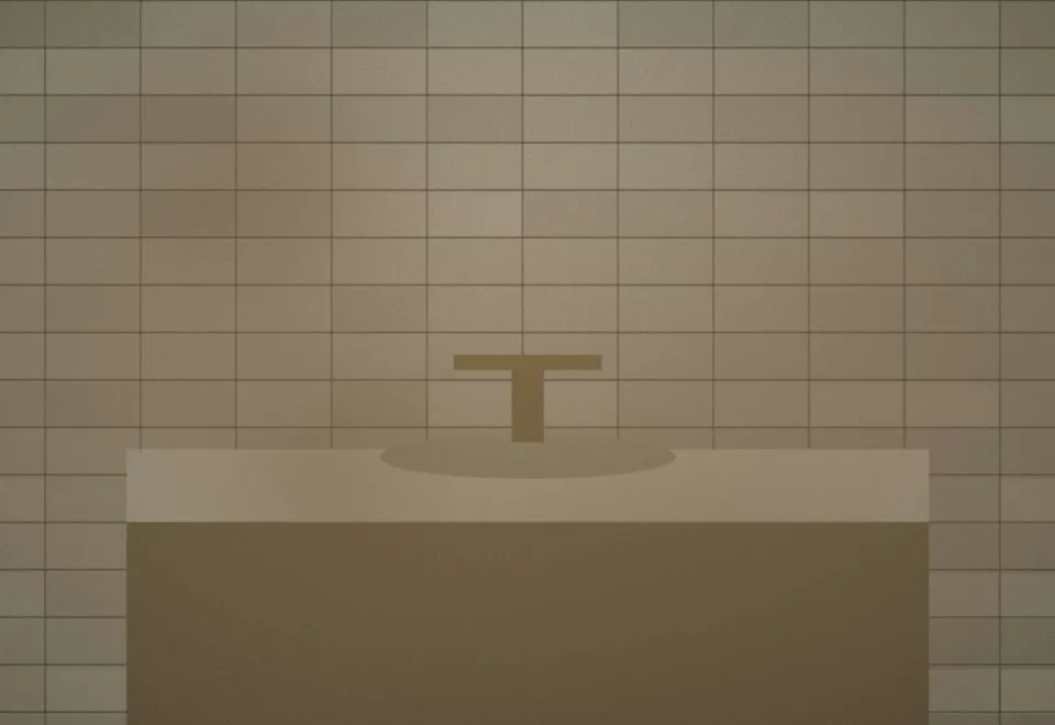 Avant : Salle d'eau adaptée et accessible