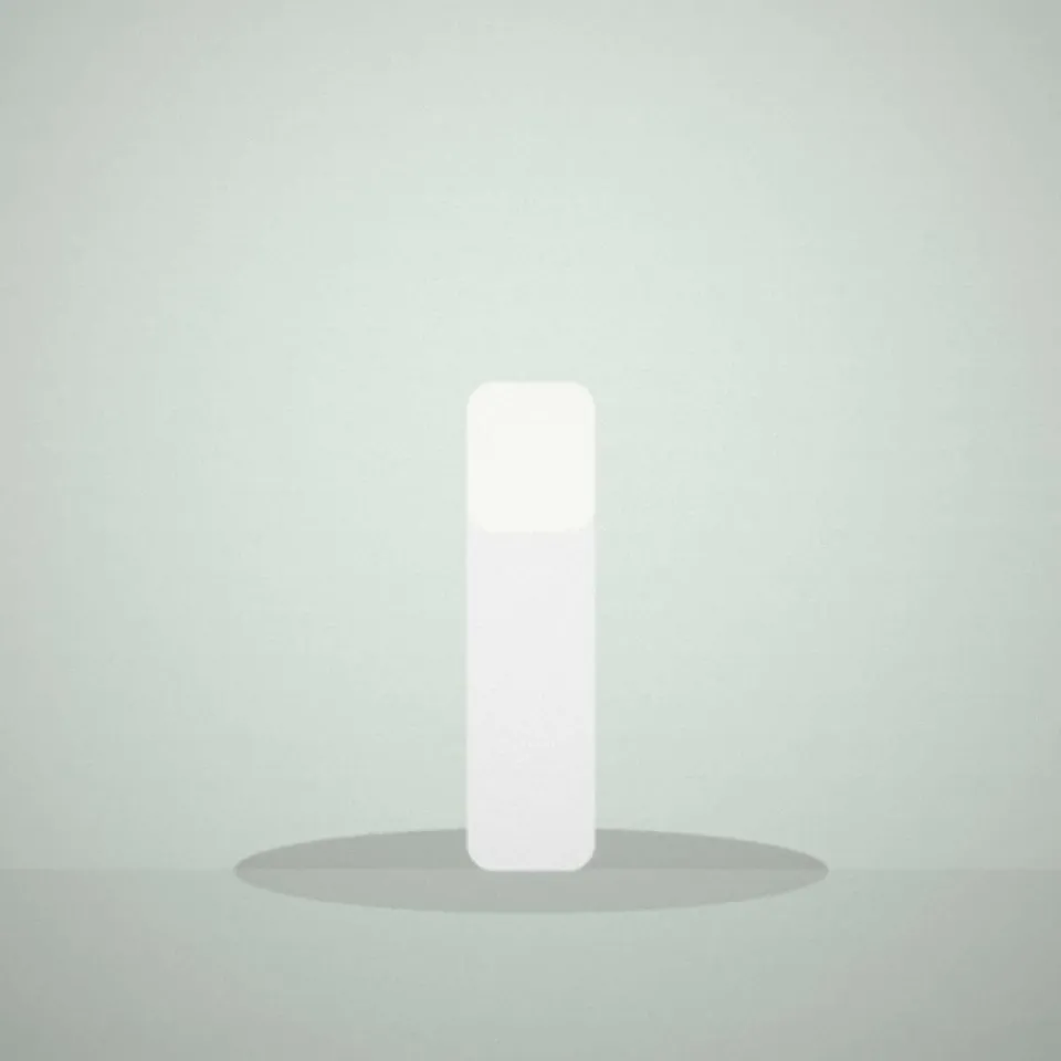 Stick de baume pour les lèvres