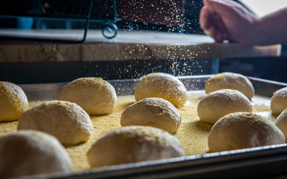 Pâtons alignés sur le plan fariné après 48 heures de repos