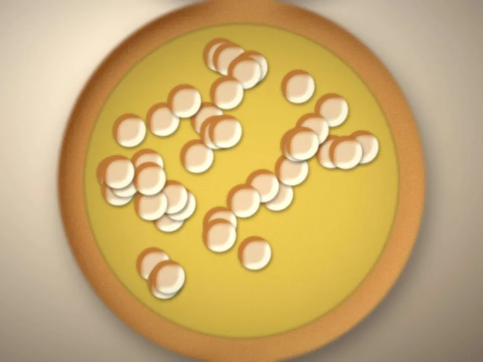 La pâtissière dresse des tartes au citron
