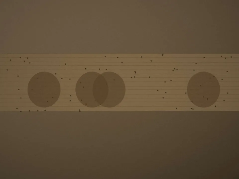 Avant : Charpente de grenier sauvée des insectes