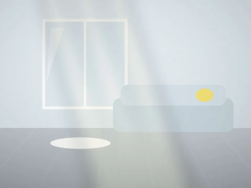 Salon lumineux avec un tapis et un panier pour animal