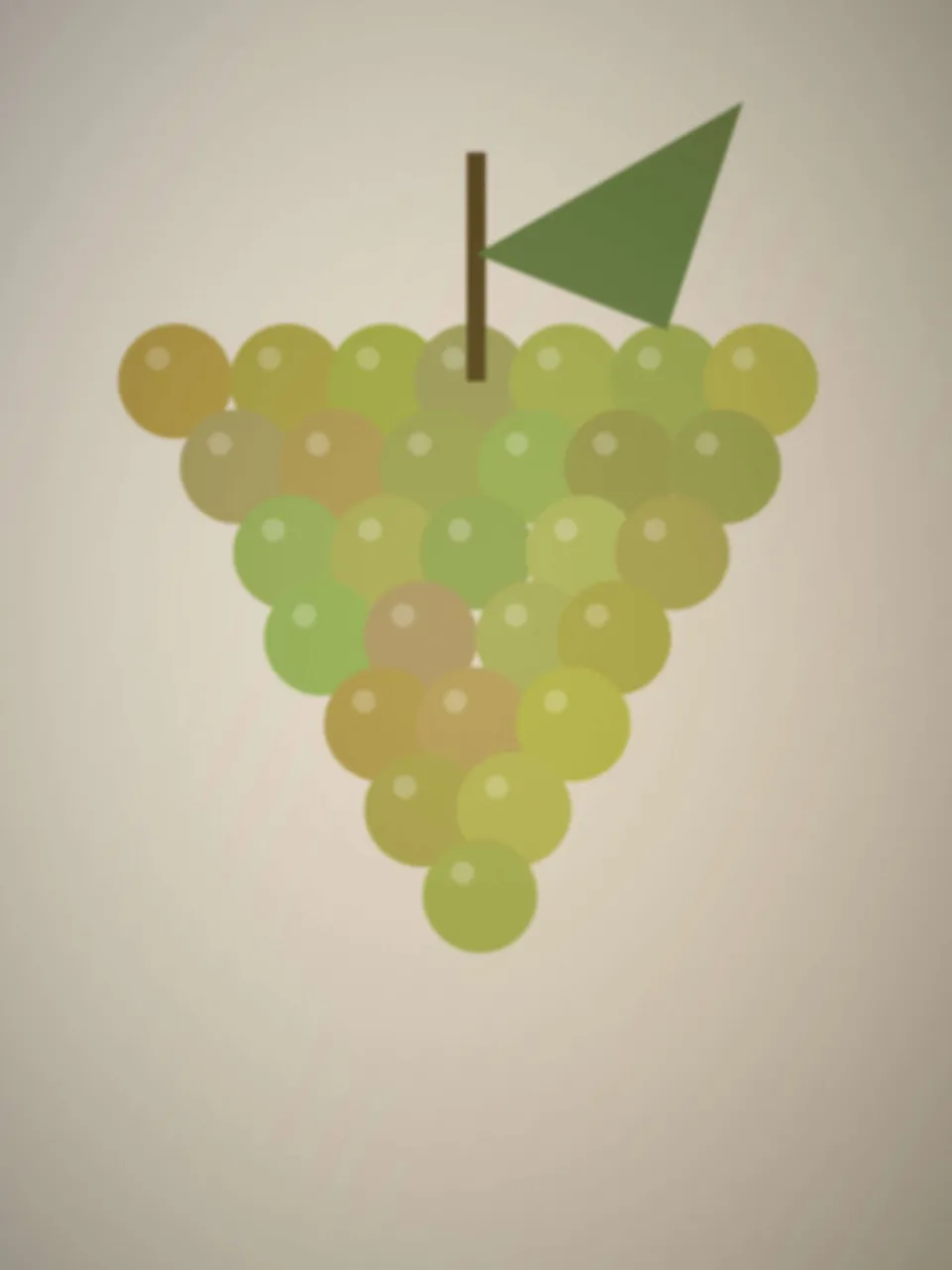 Grappe de raisin blanc au soleil