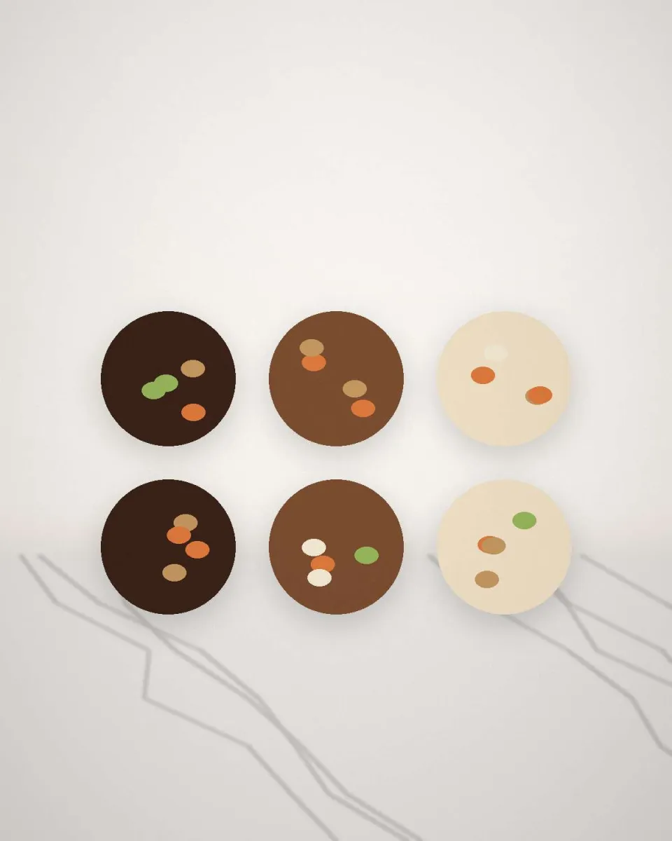 Mendiants au chocolat garnis de fruits secs